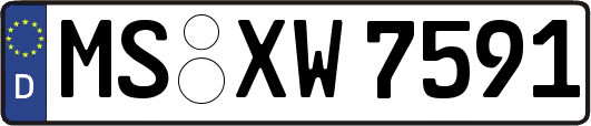 MS-XW7591