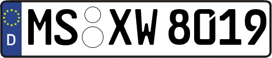 MS-XW8019