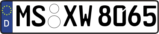MS-XW8065