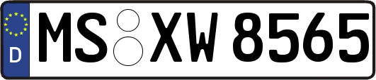 MS-XW8565