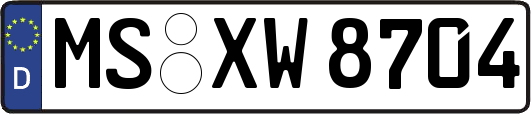 MS-XW8704