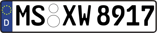 MS-XW8917