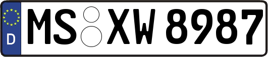 MS-XW8987