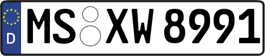 MS-XW8991