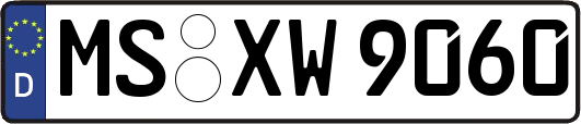 MS-XW9060