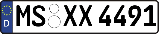 MS-XX4491
