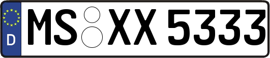 MS-XX5333
