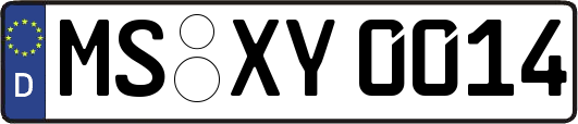 MS-XY0014