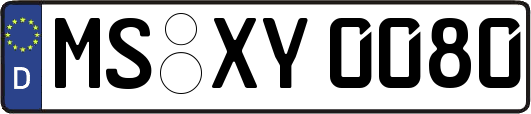 MS-XY0080
