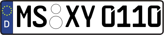 MS-XY0110