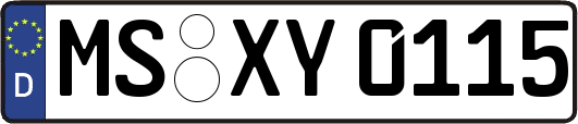 MS-XY0115