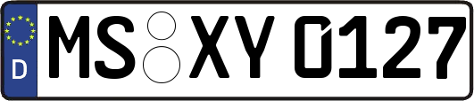 MS-XY0127