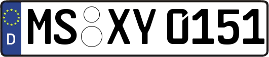 MS-XY0151
