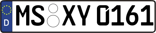 MS-XY0161