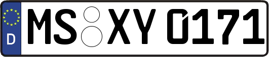 MS-XY0171