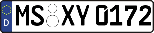 MS-XY0172