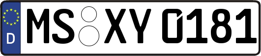 MS-XY0181