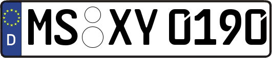 MS-XY0190