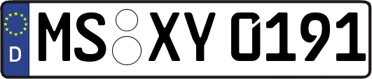 MS-XY0191