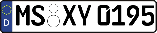 MS-XY0195