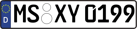 MS-XY0199