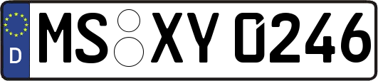 MS-XY0246