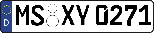 MS-XY0271