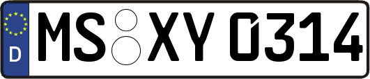 MS-XY0314