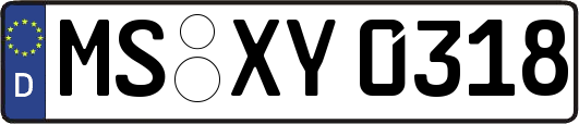 MS-XY0318