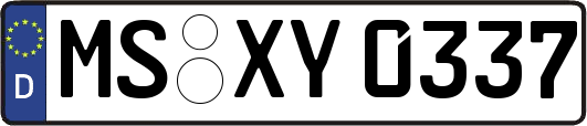 MS-XY0337