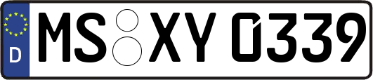 MS-XY0339