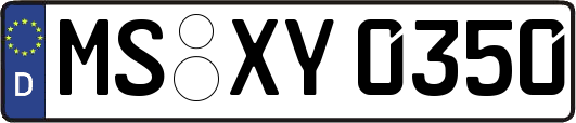 MS-XY0350