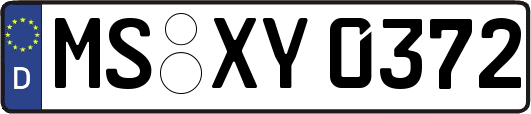 MS-XY0372
