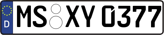 MS-XY0377