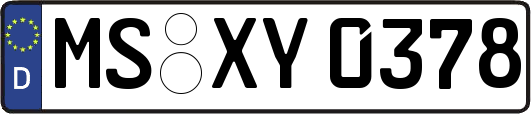 MS-XY0378