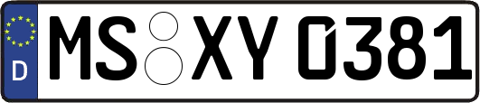 MS-XY0381