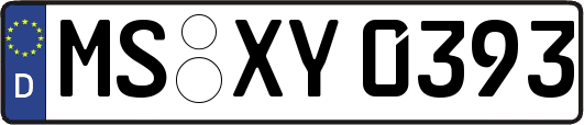 MS-XY0393