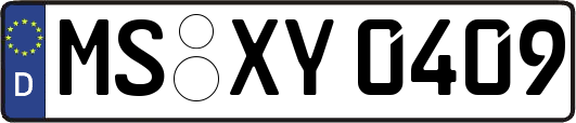 MS-XY0409