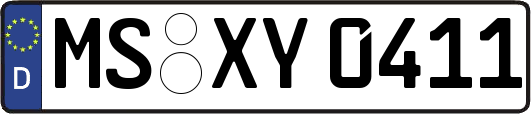 MS-XY0411