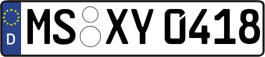 MS-XY0418