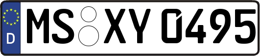 MS-XY0495