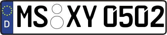 MS-XY0502