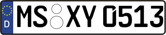 MS-XY0513