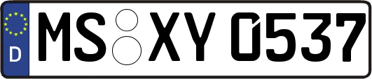 MS-XY0537