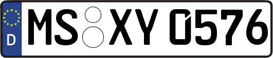 MS-XY0576