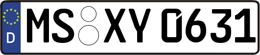 MS-XY0631