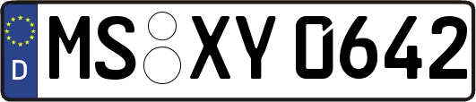 MS-XY0642