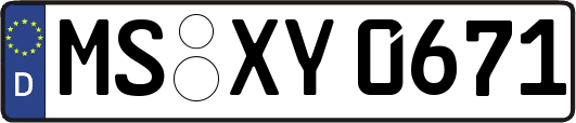 MS-XY0671