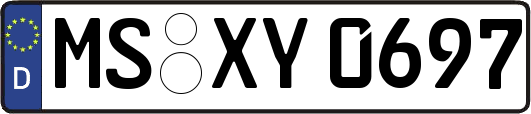 MS-XY0697