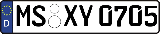 MS-XY0705